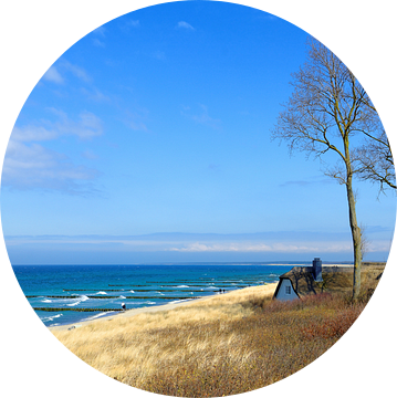 In de duinen - Ahrenshoop landschap