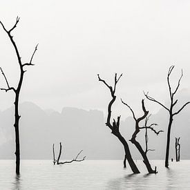 Silence in Khao Sok by Marielle Verseveld-Hulsebosch
