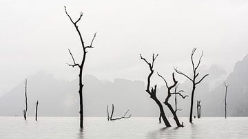 Stille in Khao Sok von Marielle Verseveld-Hulsebosch