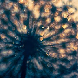 Zomer Glitter van Daniela Beyer