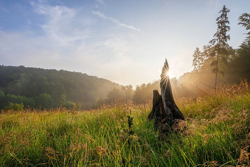 Bergisches Land, North Rhine-Westphalia, Germany by Alexander Ludwig