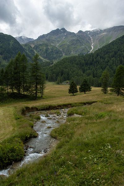 source d'eau dans les Dolomites par Sebastian Stef