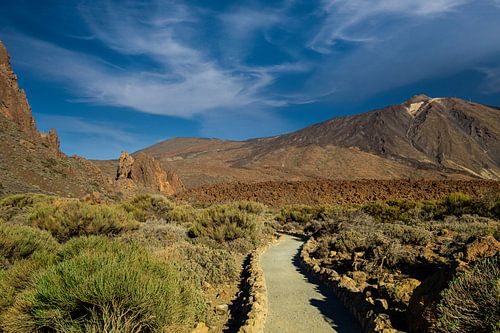 Pad naar El Teide, Vulkanisch landschap van Tenerife