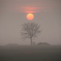 De ochtend is aangebroken