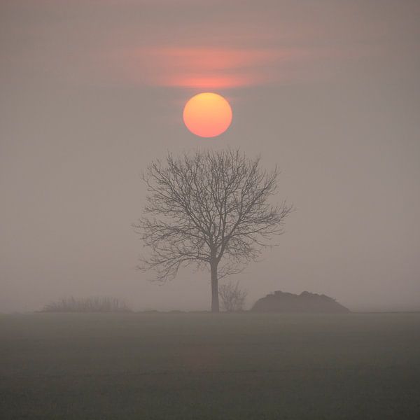 De ochtend is aangebroken van Peter Bijsterveld