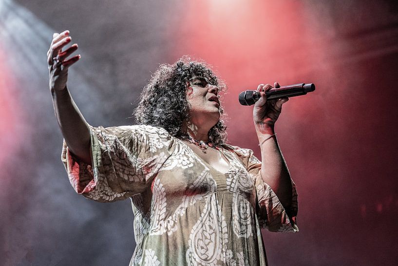 Meral Polat Trio von Joy Droogsma