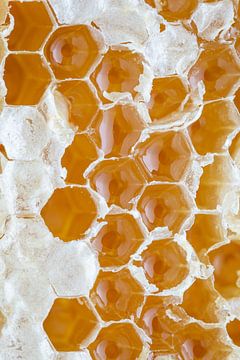 Nahaufnahme einer goldenen Honigwabe l Lebensmittel-Fotografie von Lizzy Komen