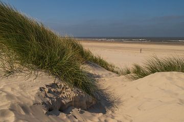 Vue depuis les dunes d'Ameland sur Meindert Marinus