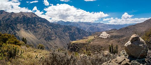 Breites Panorama der Colca-Schlucht, Peru von Rietje Bulthuis