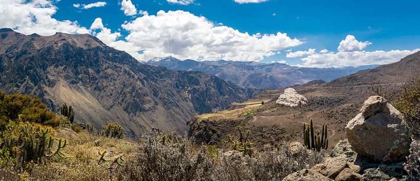 Weids panorama van de Colca Canyon, Peru van Rietje Bulthuis