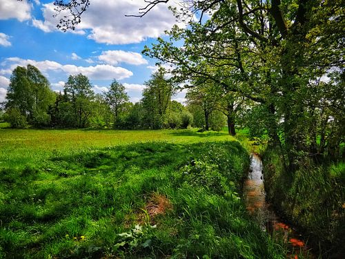 Slootje peelrandbreuk Uden