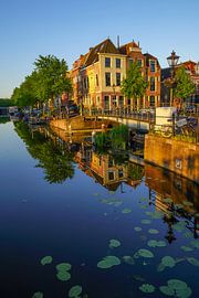 Beautiful Leiden by Dirk van Egmond