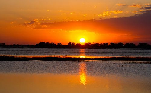 Zonsondergang in Chobe national park, Botswana 