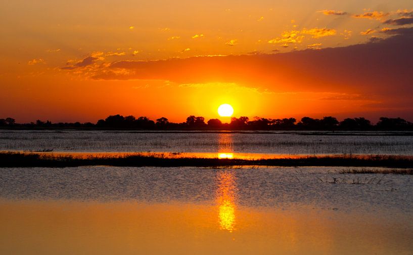 Zonsondergang in Chobe national park, Botswana  von Christel Nouwens- Lambers