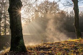 koude start van Gelein Jansen