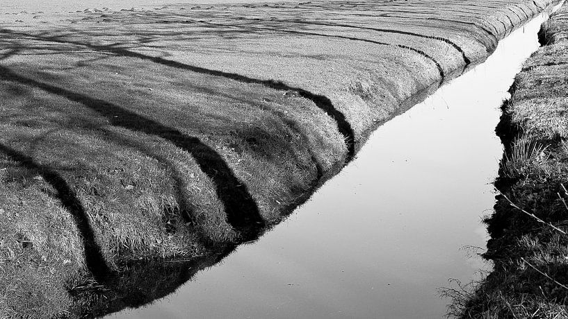 Tijger in het landschap van Robert Smink