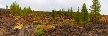 Lava landschap op Tenerife van Walter G. Allgöwer