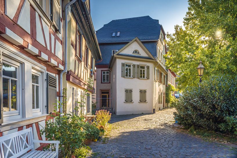 Zonsopgang in de oude stadskern van Frankfurt-Höchst, Frankfurt van Christian Müringer