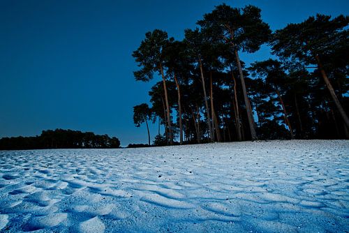 Plage de nuit Henschotermeer sur Remco Artz