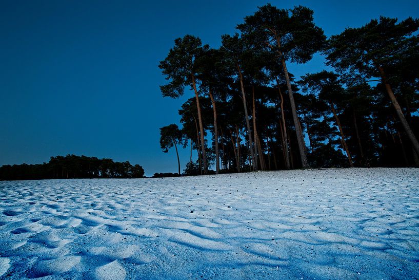 Strand bei Nacht Henschotermeer von Remco Artz