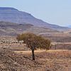 Mitten im Nirgendwo in Namibia von JTravel
