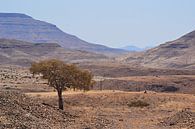 In the middle of nowhere in Namibië van JTravel thumbnail