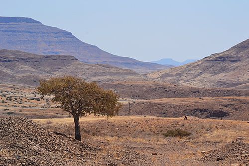 In the middle of nowhere in Namibië