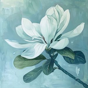 Magnolien Magnolienblüte