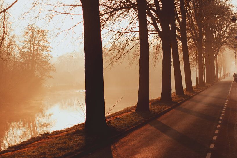Nebliger Morgen auf dem Westbroekweg in Den Haag von Anne Zwagers