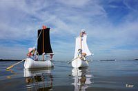 Sailing Fubby's going on an adventure.