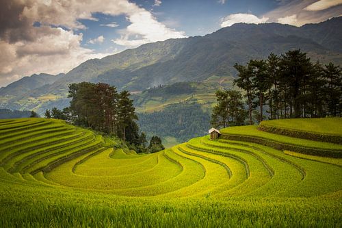 De adembenemende rijstvelden van Mu Cang Chai, Vietnam