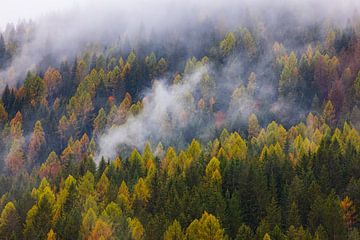 Herfst in de Dolomieten, Italië