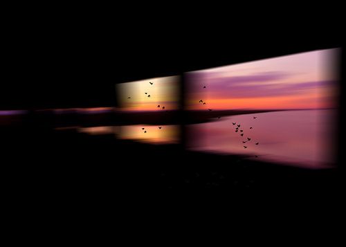 Vues du Wad. sur Maneschijn FOTO