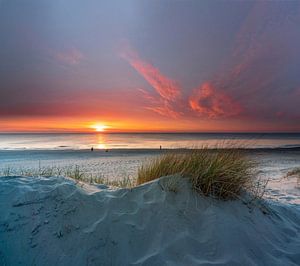 Stranddünen Paal 15 Texel Strandhafer schöner Sonnenuntergang