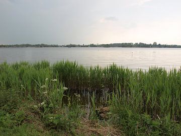 Orage au-dessus de Reeuwijkse Plassen sur Rinke Velds