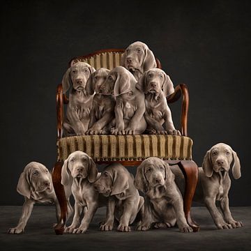 Welpenparade! von Nuelle Flipse