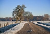 Winter nebenan von Mariska Hofman Miniaturansicht