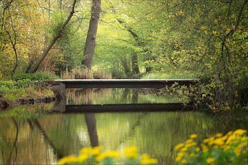 Spring is all around ( lente in het Dr. Jac. P. Tijssepark in Amstelveen) van Birgitte Bergman