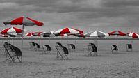 Optimistische strandbeheerder