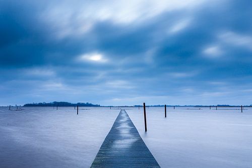Zicht op het Vogeleiland in het Zwarte Meer
