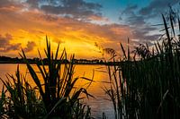 Sunset Park Lingezegen