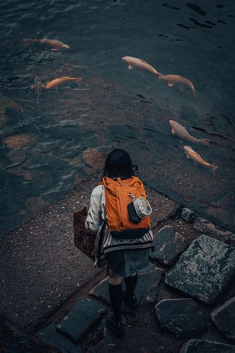 Mädchen füttert Koi-Karpfen in Takayama