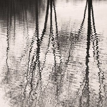 Reflection Downpour van Lena Weisbek