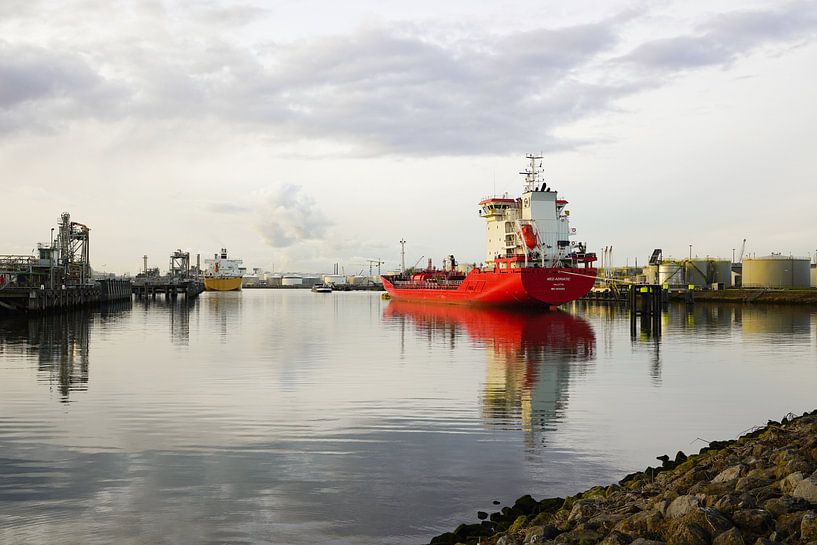 De Med Adriatic in de haven van Europoort by Alice Berkien-van Mil