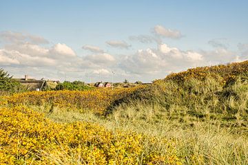 Blåvand dunes paysage au Danemark sur la mer du Nord sur Martin Köbsch
