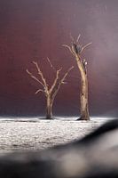 Dead trees in Deadvlei with purplish dunes - vertical