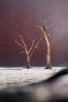 Dode bomen in Deadvlei met paarsachtige duinen - verticaal van Jurrie Renskers