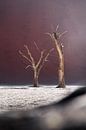 Dead trees in Deadvlei with purplish dunes - vertical by Jurrie Renskers thumbnail