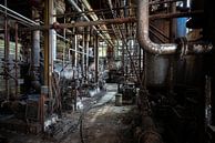 Des tuyaux dans une usine abandonnée. par Roman Robroek - Photos de bâtiments abandonnés Aperçu