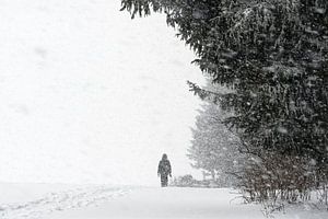 Schneesturm